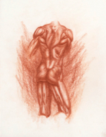 Anatomical Study, Torso 13